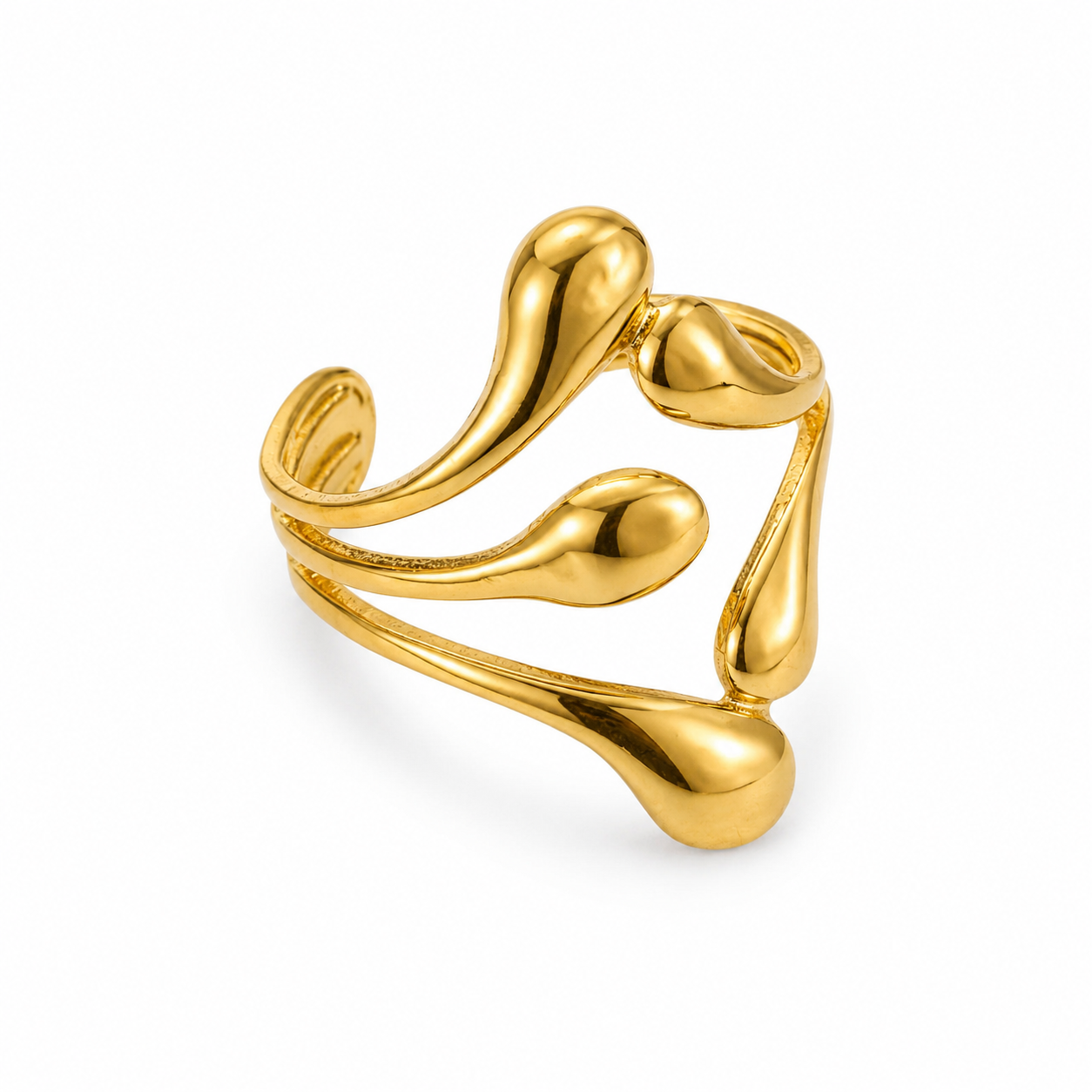 Anillo lotes