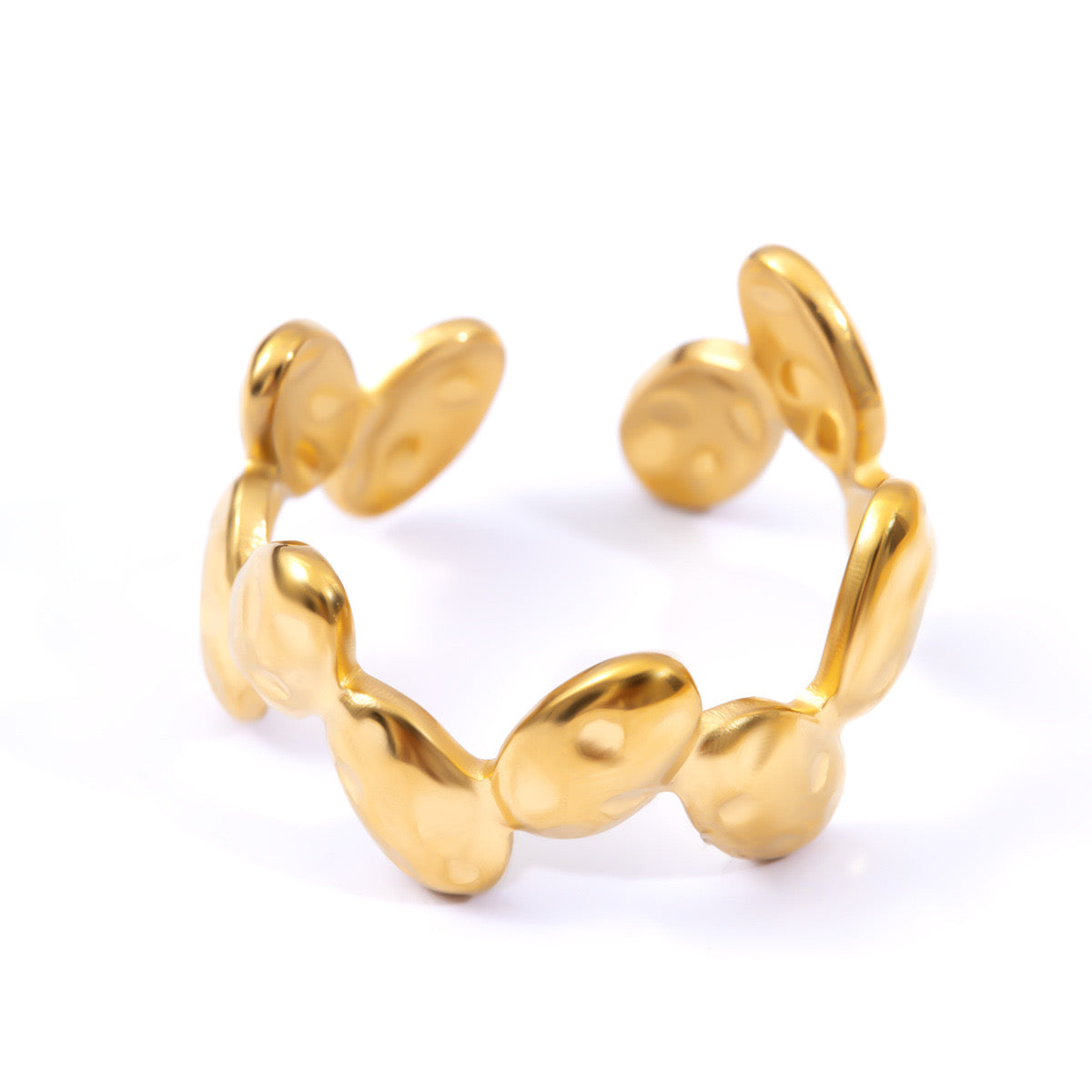 Anillo semillas
