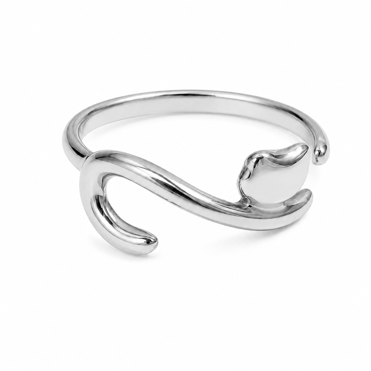 Anillo gato