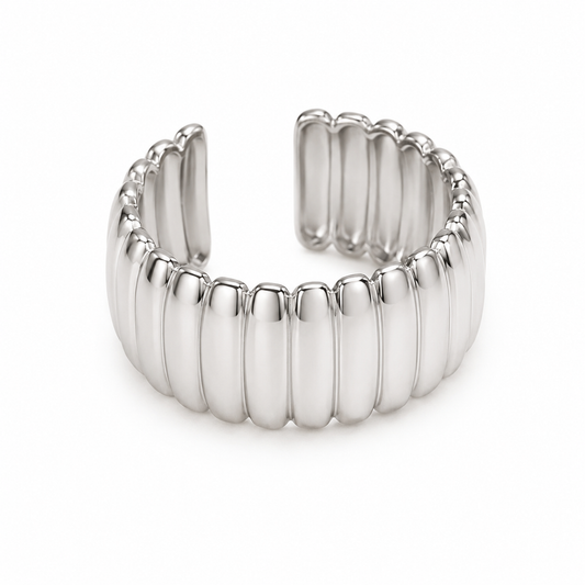 Anillo nez