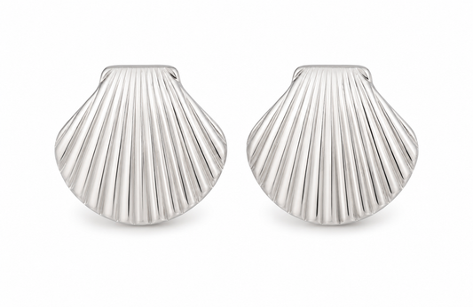 Aretes concha