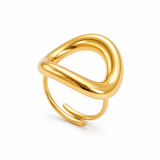 Anillo aro