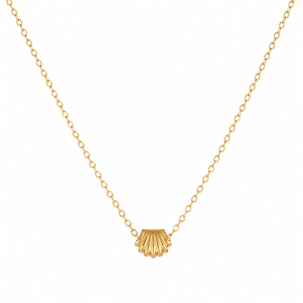 Collar concha mini